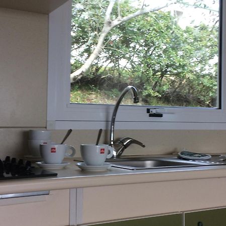 Camping Le Soline Casciano Di Murlo Zimmer foto