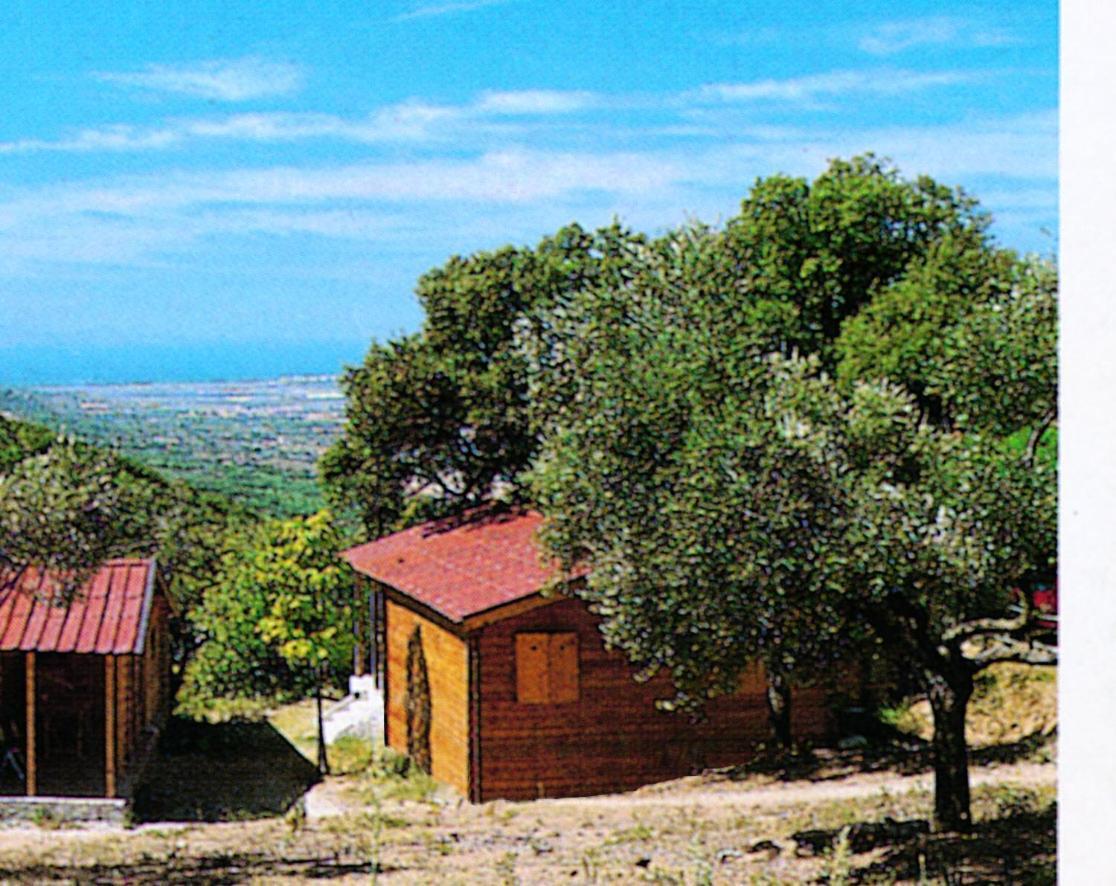 Camping Le Soline Casciano Di Murlo Exterior foto